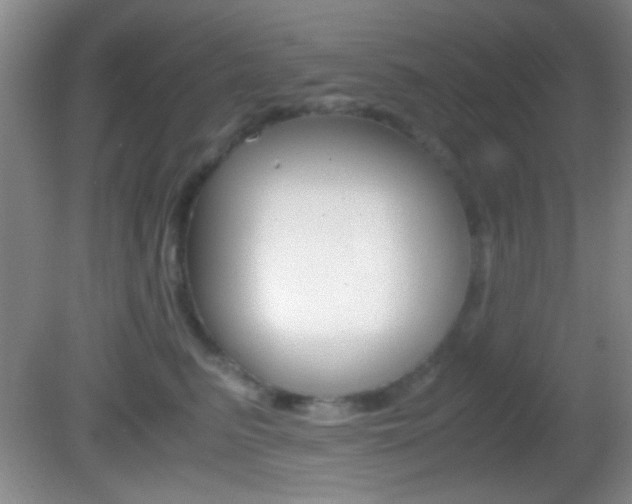 X0000082720615200701261031