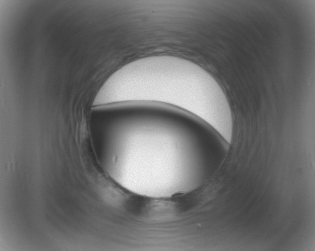 X0000082720617200701261031