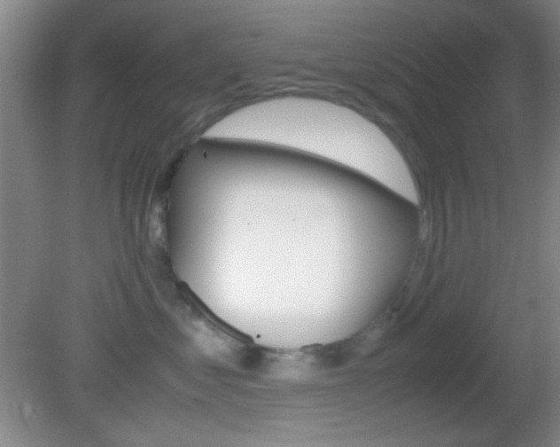 X0000082720621200701261031