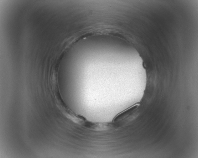 X0000082720623200701261031