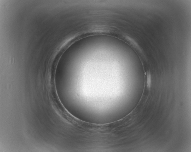 X0000082720627200701261030