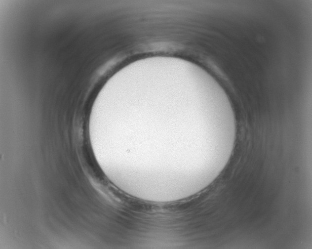 X0000082720632200701261031