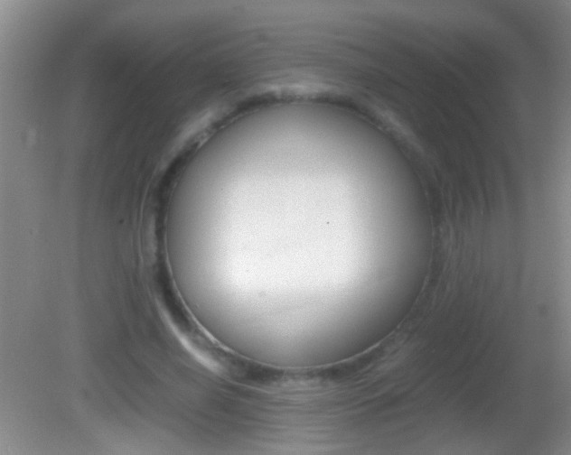 X0000082720638200701261031