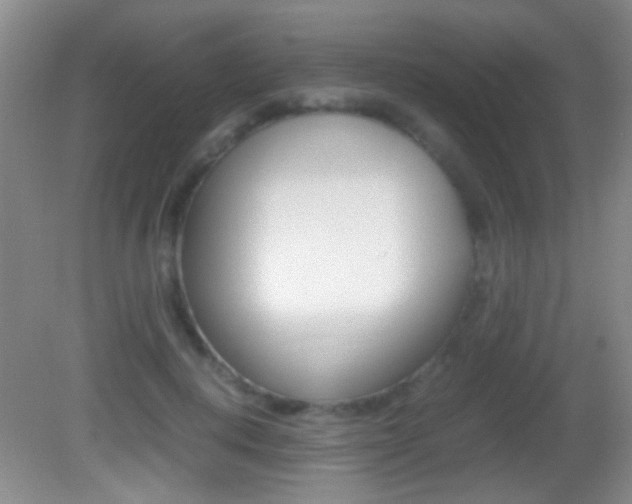 X0000082720648200701261031