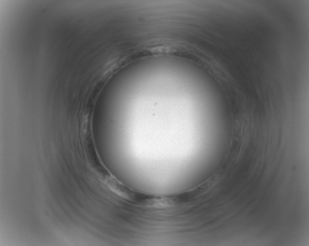 X0000082720652200701261031