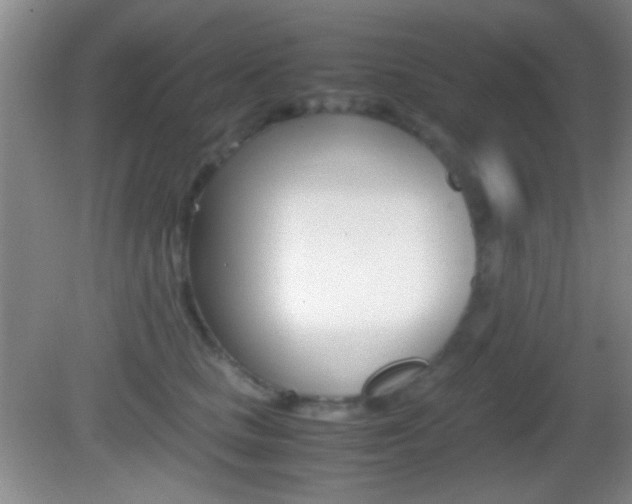X0000082720661200701261031