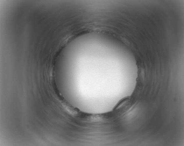 X0000082720668200701261031