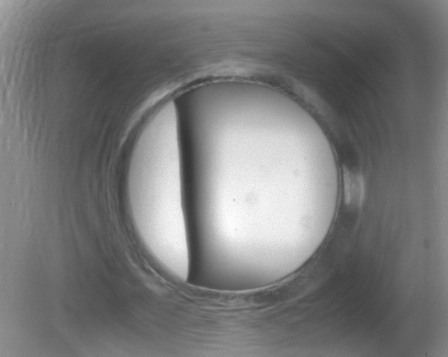 X0000082720675200701261030