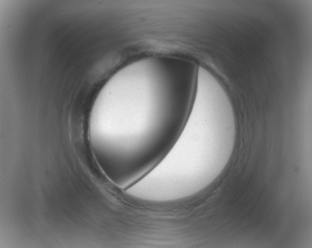 X0000082720685200701261030