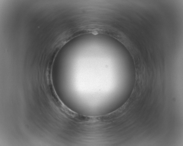 X0000082720696200701261030