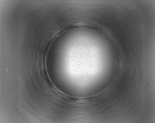 X0000082720700200701261030