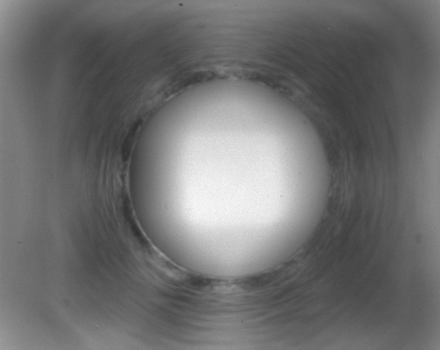 X0000082720702200701261030