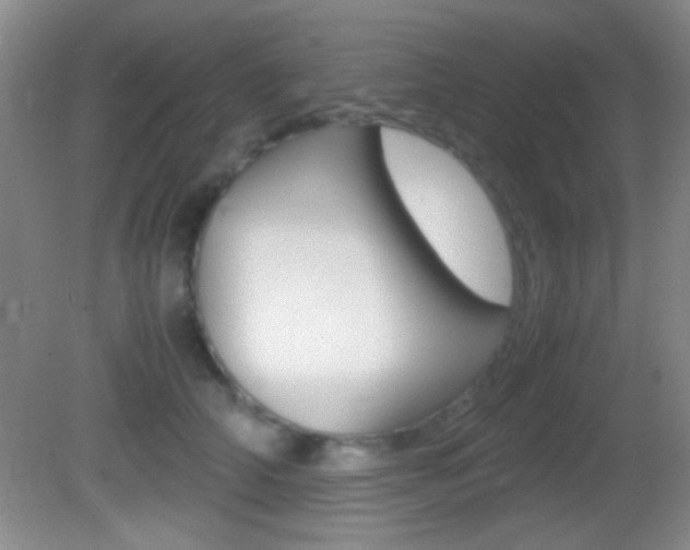 X0000082720706200701261030
