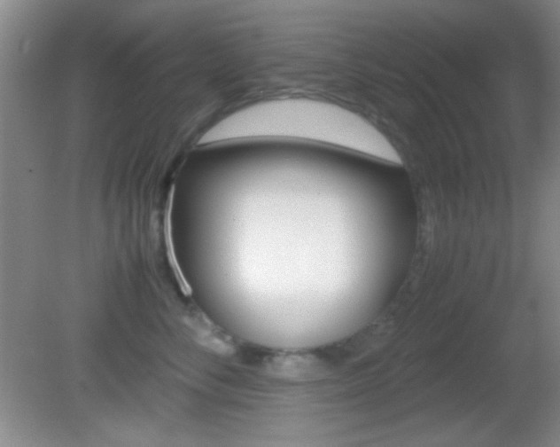 X0000082720716200701261030