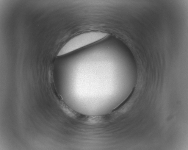 X0000082720720200701261030