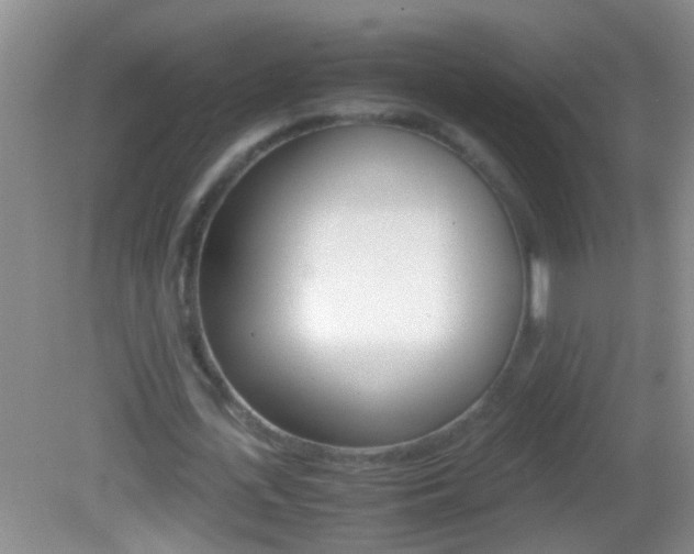 X0000082720723200701261029