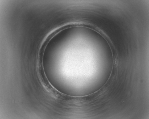X0000082720724200701261029