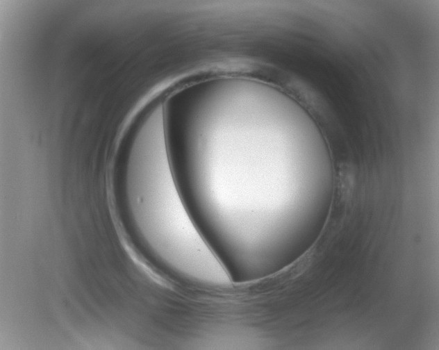 X0000082720726200701261029