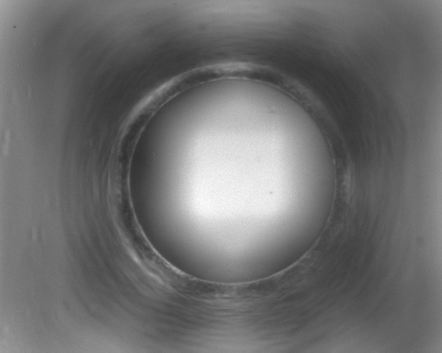 X0000082720732200701261029
