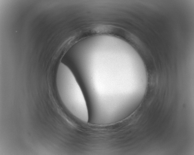 X0000082720733200701261029