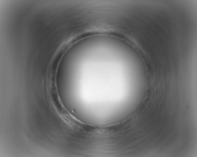 X0000082720736200701261029