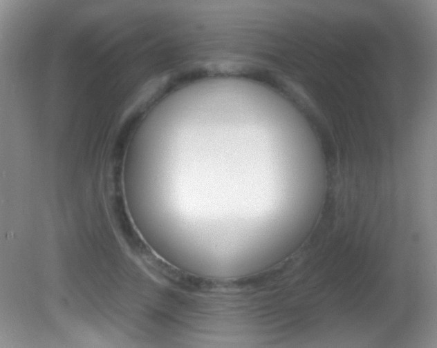X0000082720738200701261029