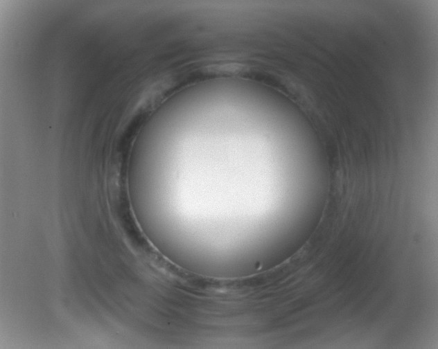 X0000082720739200701261029