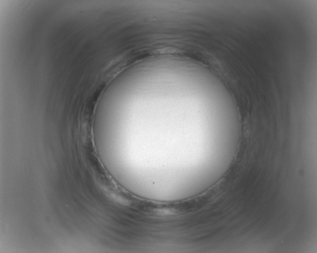 X0000082720741200701261029