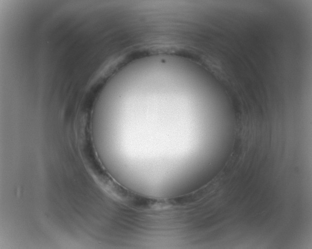 X0000082720742200701261029