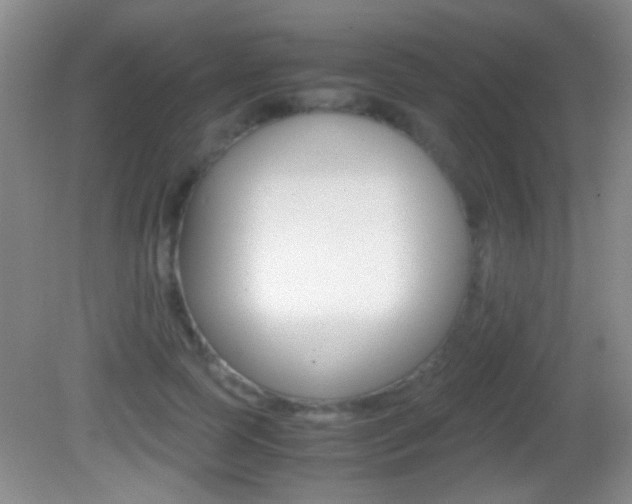 X0000082720745200701261029