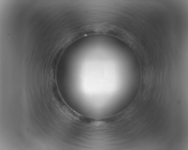 X0000082720748200701261029