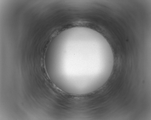 X0000082720749200701261029