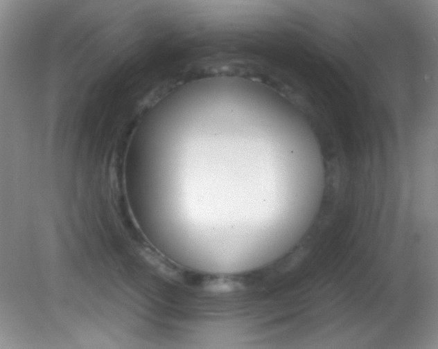 X0000082720754200701261029