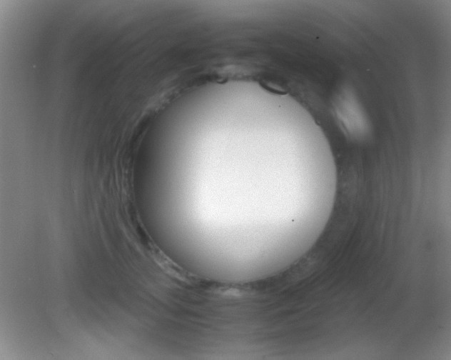 X0000082720755200701261029