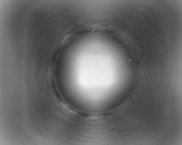 X0000082720756200701261029