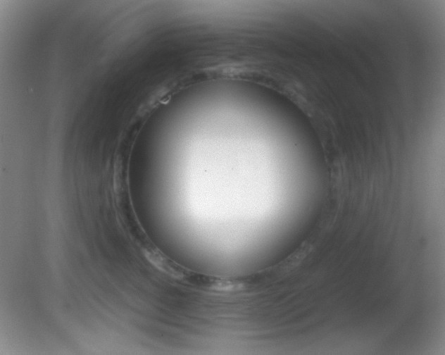 X0000082720760200701261029