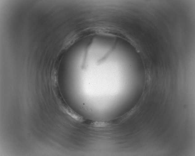 X0000082720766200701261030