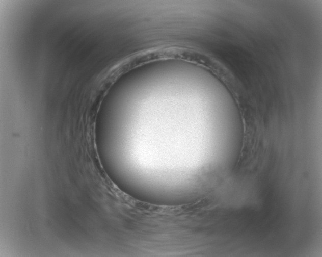 X0000082720773200701261029