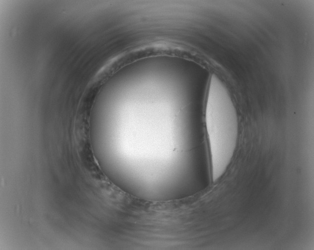 X0000082720776200701261029