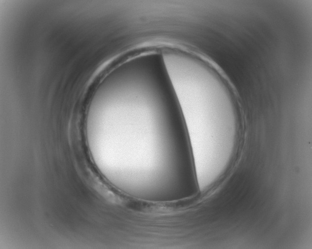 X0000082720783200701261029