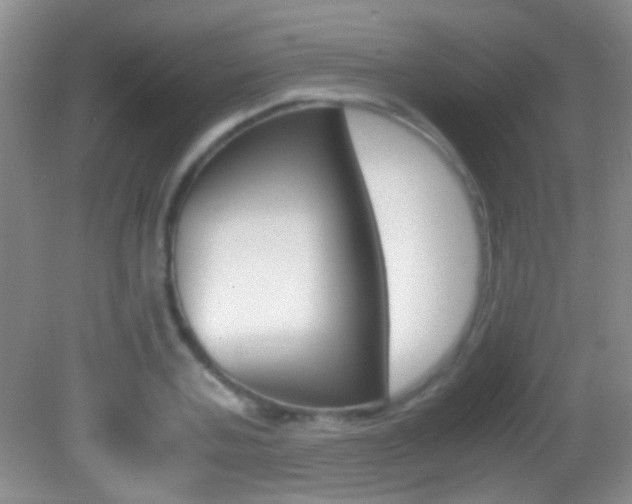 X0000082720787200701261028