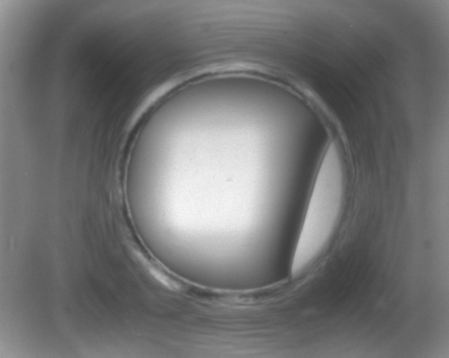 X0000082720789200701261028
