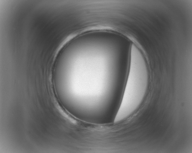 X0000082720797200701261028
