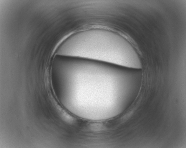 X0000082720798200701261028