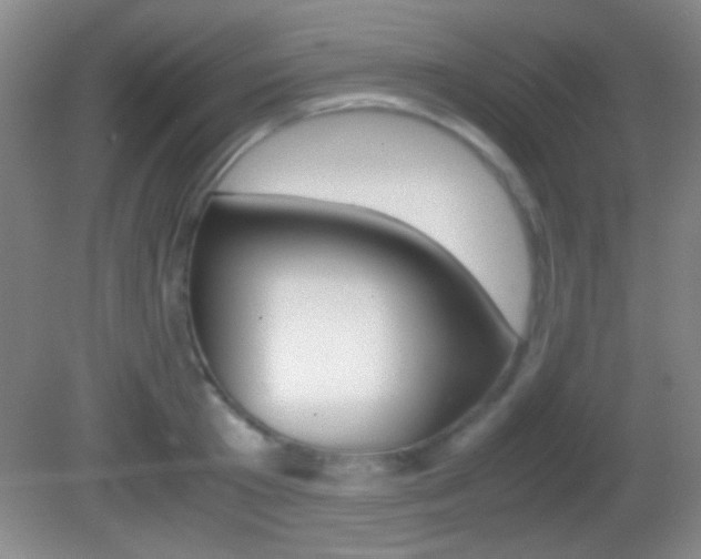X0000082720801200701261028