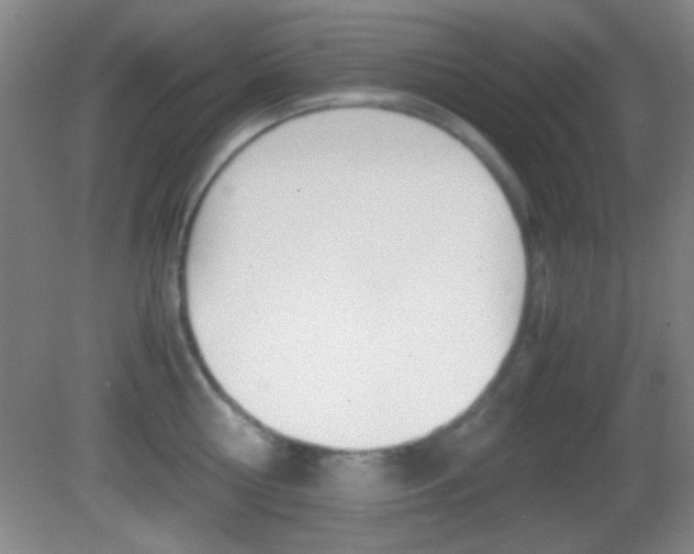 X0000082720810200701261028