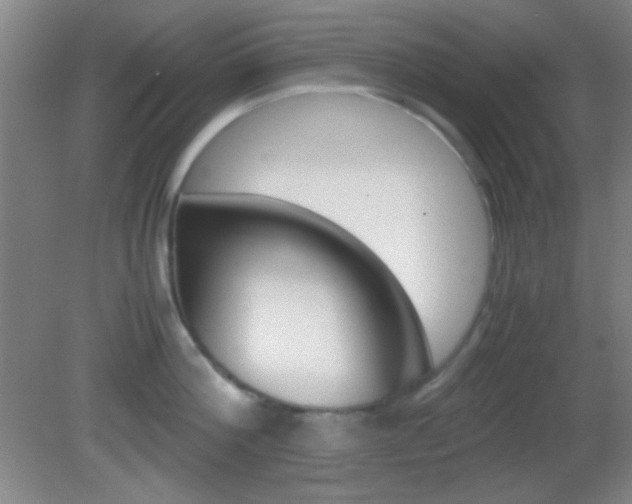 X0000082720812200701261028