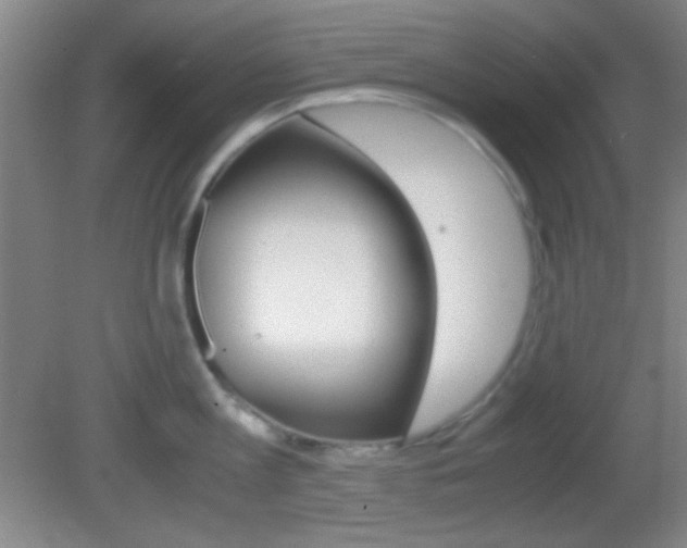X0000082720813200701261028
