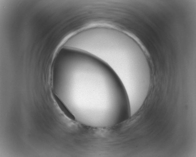 X0000082720815200701261028