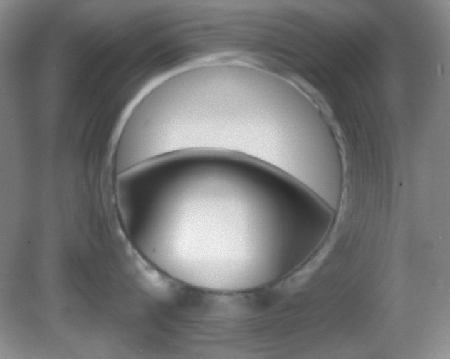 X0000082720816200701261028